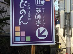 ���}�s�[�T����̖������ւ̓��e�ʐ^1