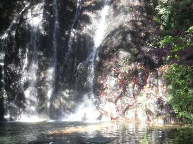 �A�q�����ۂ�H�ׂĂ��܂�_���|�̑�