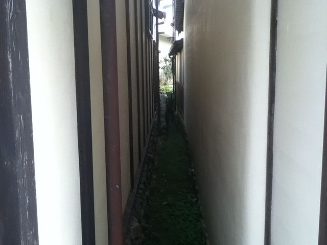 ���q���̒�����_�����s�E�썑�̒�����