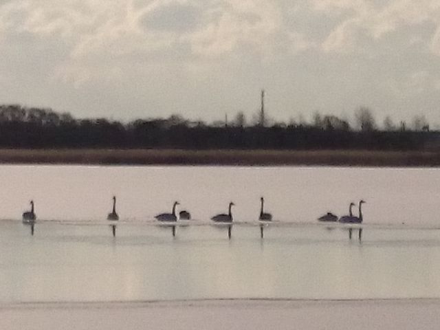 �E�g�i�C��