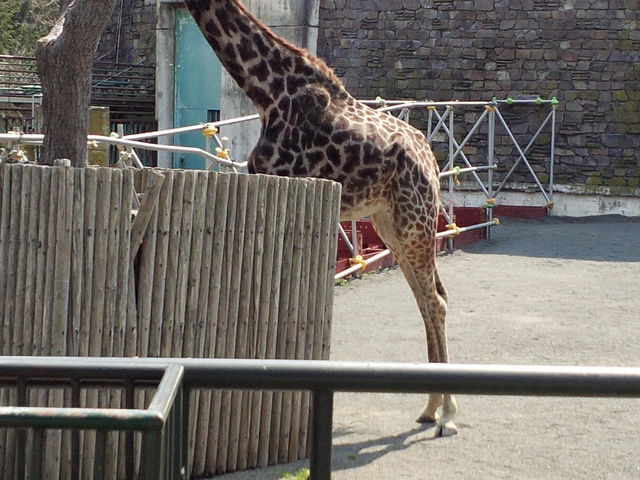 �L����_�~�R������