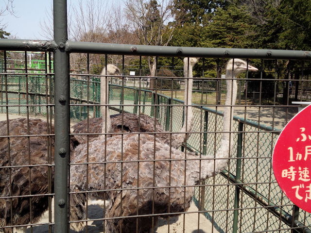 �l����_���_�`���E�B_�~�R������