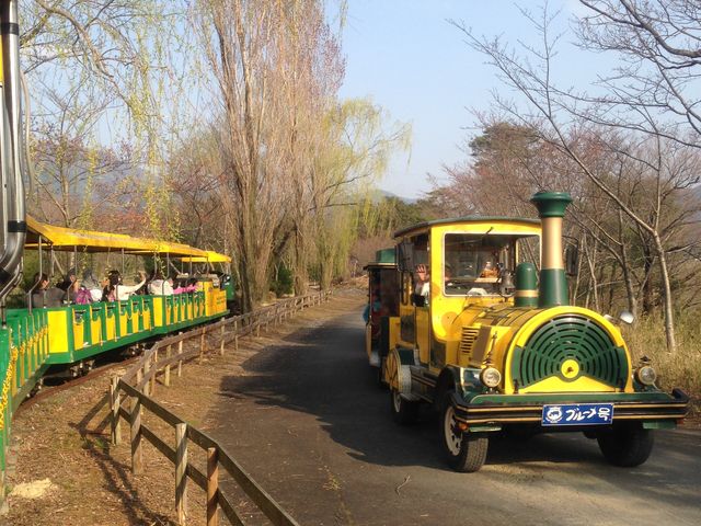 汽車。_滋賀農業公園ブルーメの丘