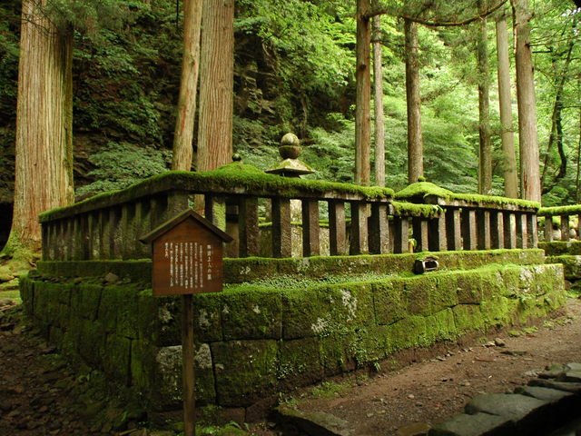 JȒcAl̕_jՒTHi_ЃR[Xj