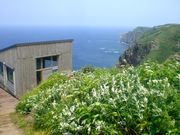 masato̊Cώ@ɂ̓eʐ^1