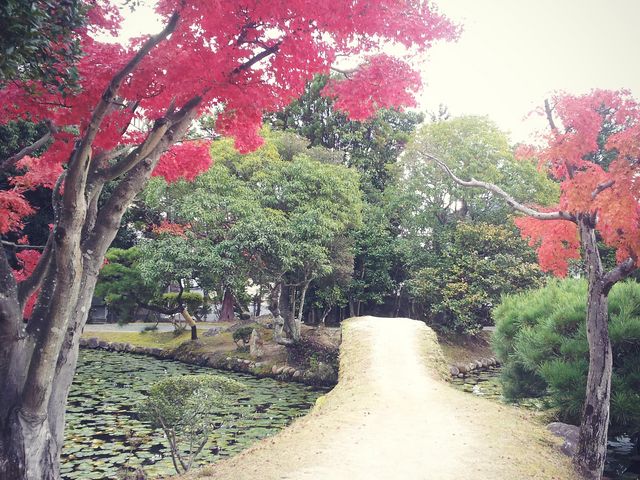 衆楽園_衆楽園
