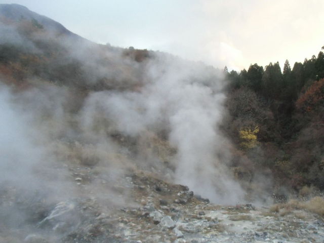 �����n��_�����n��