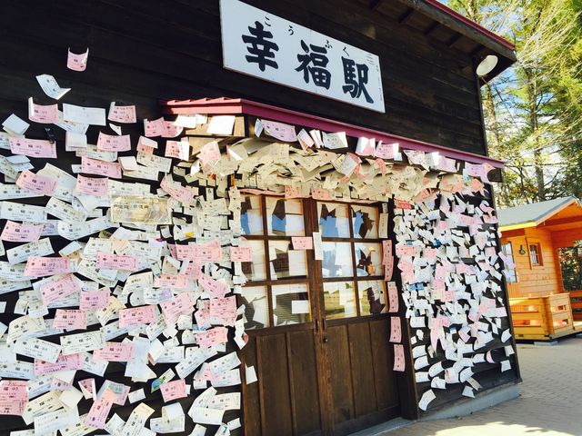 �w�̗���_�K���w�i�K���S�������j