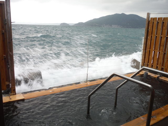 񂳂̊CIVC g̓uv̓eʐ^1