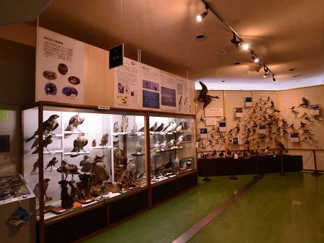 �m�������ٓ���_�m��������