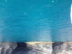 sJނ̏M̓A@{N[Yւ̓eʐ^1