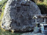 �ނ炳�񂳂�̓V�O���̓��e�ʐ^3