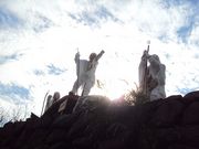 �ނ炳�񂳂�̓V�O���̓��e�ʐ^7