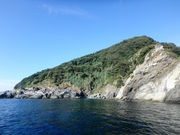 puchañV[h^LCg̓eʐ^5