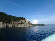 puchañV[h^LCg̓eʐ^6