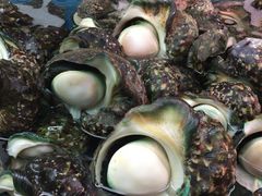 ��������񂳂�̑��q�u���ݎs��ւ̓��e�ʐ^1