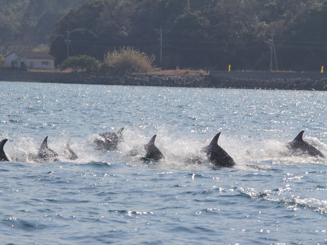 ���C�ȃC���J�����Ɍ��C�����炢�܂���_�C���J�E�H�b�`���O�i���̉w �V���s�C���J�Z���^�[�j