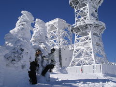 ���c�q����̉���R�R���̎��X�ւ̓��e�ʐ^1