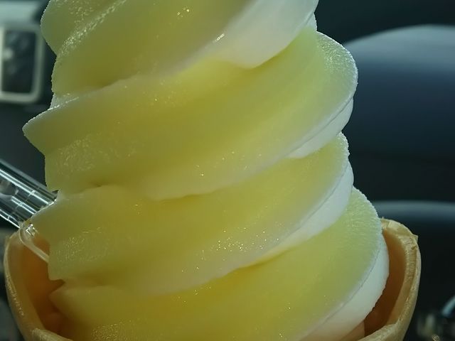 ���̉w ��[����