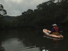 t@[t@̃IIΊ_GRcA[ւ̓eʐ^1