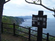 TKS����̉L�̑��f�R�W�]��̓��e�ʐ^1