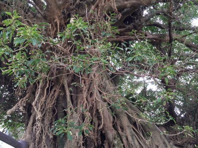 lssah̊~̉YARE̓eʐ^2