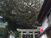 lssah̊~̉YARE̓eʐ^3