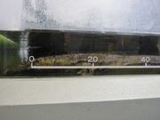 񂳂̎RRԊώ@{ WفiRWفj̓eʐ^3