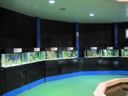 񂳂̎RRԊώ@{ WفiRWفj̓eʐ^4