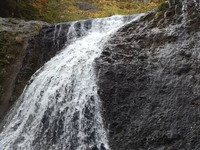 �E���̑�i������ƃA���O�������������j_�O�{��