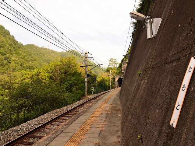 �c�{�w_�c�{�w�iJR�ѓc���j