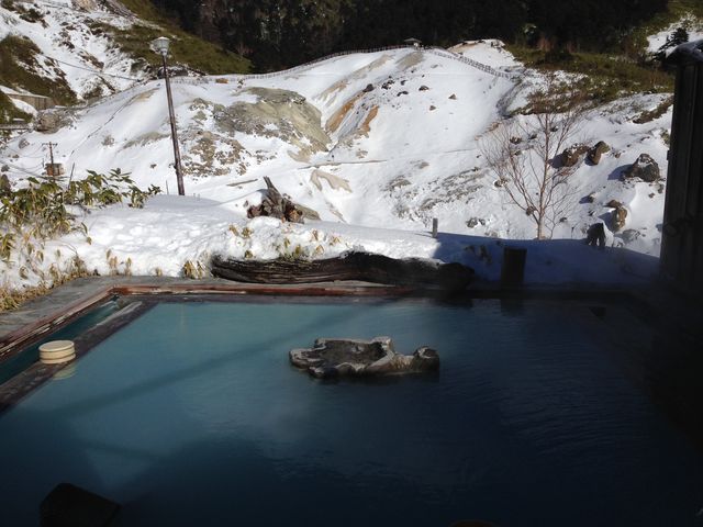 ���ق̘I�V���C�A����ɂ���O�����������܂��B_����������i��