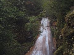 �C���_�C����̎O�{��ւ̓��e�ʐ^1