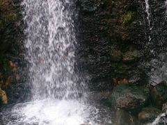 sakky̖̗@tďH~ւ̓eʐ^1