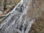 �C���_�C����̏��q�̑�̓��e�ʐ^2