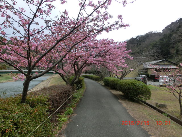 쉈ł1VbgłB_̉w Ή ̉