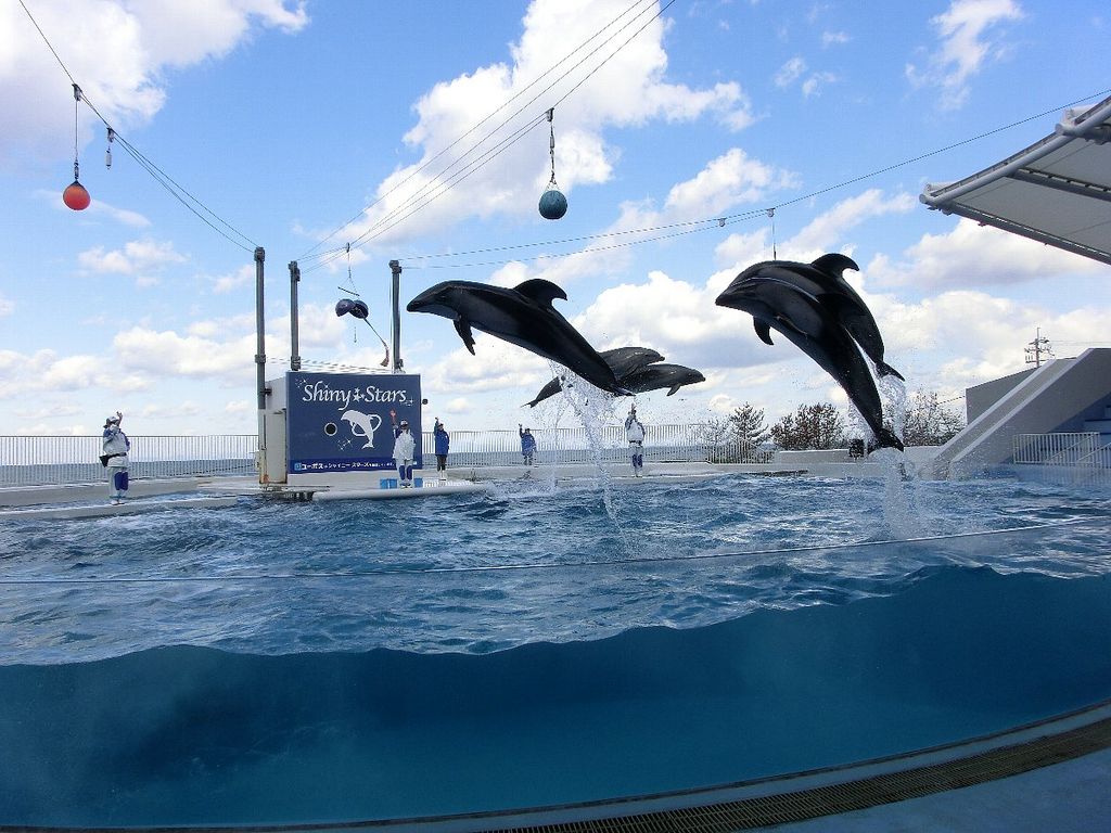 この夏行きたい 水族館クチコミ ランキングtop10 関西編 じゃらんニュース