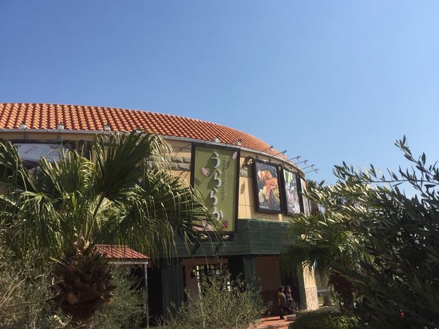 ���{�k�������@����������������