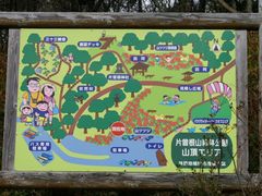 okei̕Б]Ricxmjւ̓eʐ^1