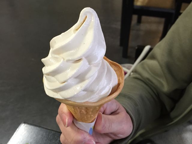 �O�͊����������ǂ������������I_���̉w ���d����݂̗�