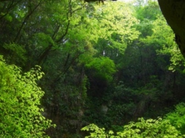 ����_������