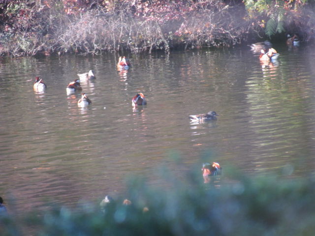 tomsañxj}TN΂̓eʐ^1