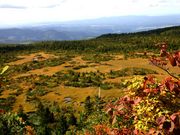 Ƃ񂳂̔bcA̍gt̓eʐ^1