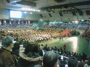 ܂ǂ̑DA[iiDs̈فj̓eʐ^1