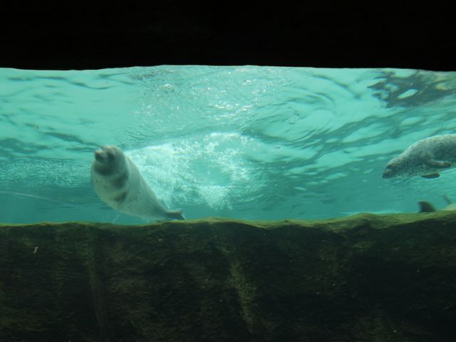 �������j���A�U���V_���R������