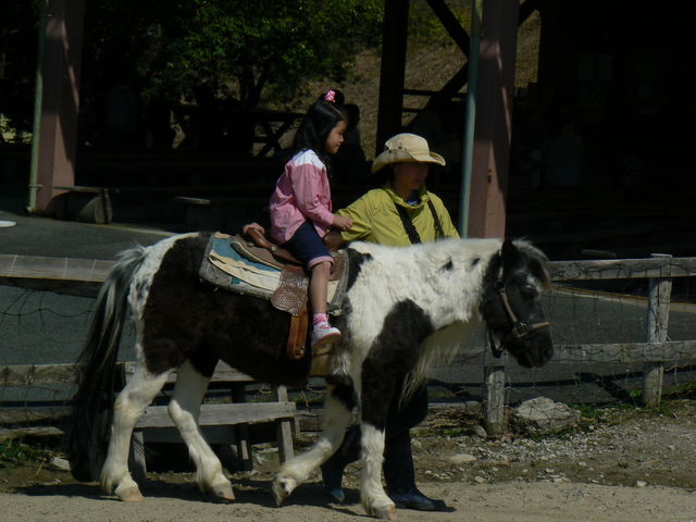 �䥗΂̃~���[�W�A�� �n�[�x�X�g�̋u