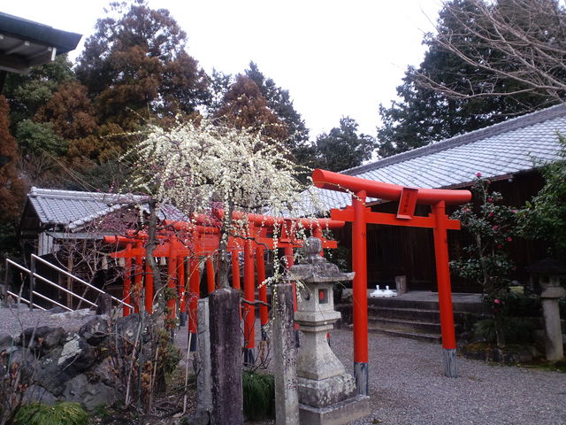 �����o�_��