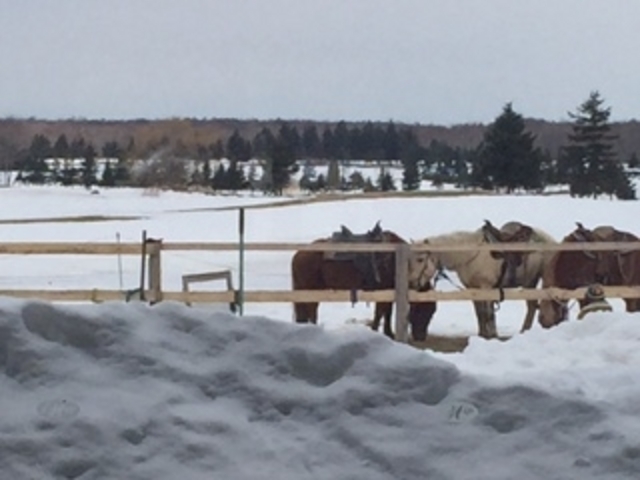 ������ɍ��т̔n���f���܂��I_�m�[�X�E�X�m�[�����h�C�����