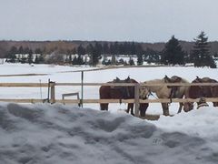 hinãm[XEXm[hC΂ւ̓eʐ^1