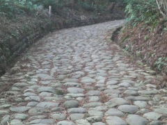 さとけんさんの旧東海道金谷坂石畳と茶畑コースの投稿写真1